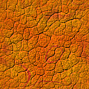 Textures 559